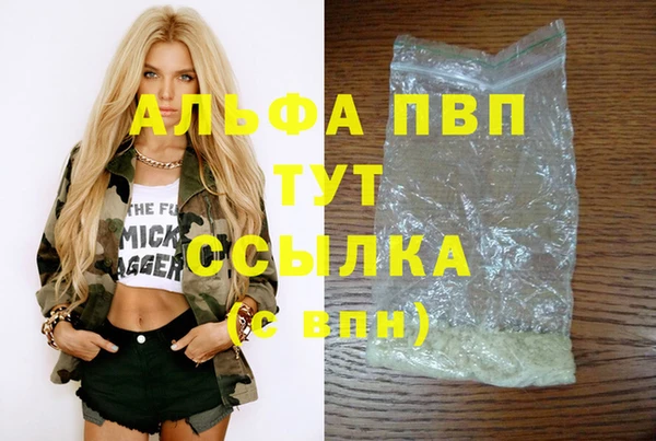 дживик Белокуриха