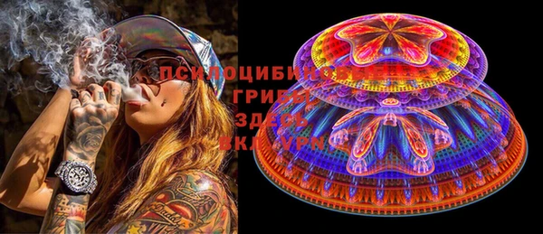дживик Белокуриха