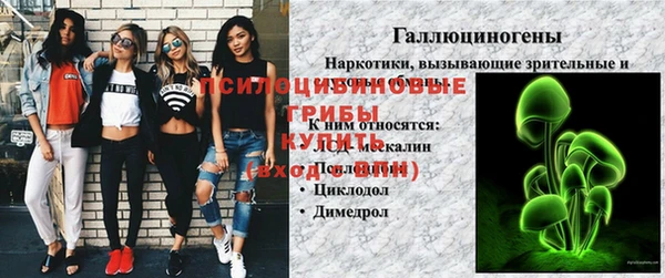 дживик Белокуриха