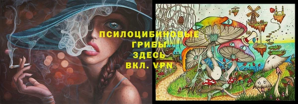 дживик Белокуриха