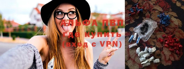 дживик Белокуриха