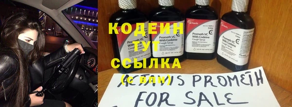 дживик Белокуриха