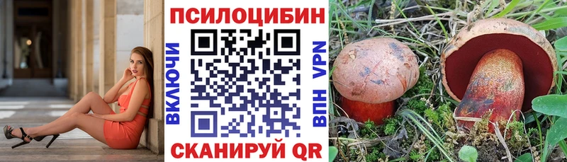 Галлюциногенные грибы мухоморы  ОМГ ОМГ рабочий сайт  Надым  купить наркотики цена 