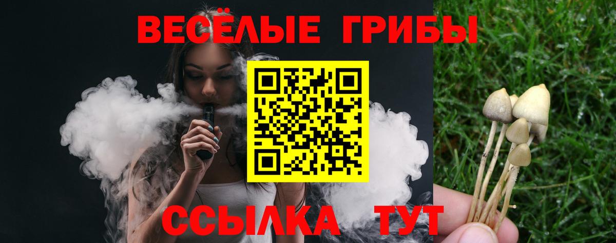 Псилоцибиновые грибы MAGIC MUSHROOMS  наркотики  Псилоцибиновые грибы мицелий  Надым  Вход с VPN 